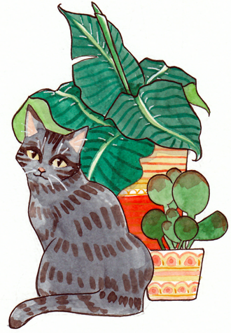 A watercolour illustration of a grey tabby cat in front of potted plants.